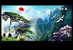 黄山迎客松
