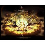 水晶花朵形象画