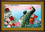 牡丹花