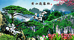 黄山迎客松