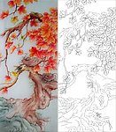 枫叶 枫树 树