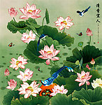 荷花