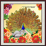 孔雀