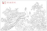 孔雀矢量图