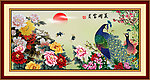 牡丹花