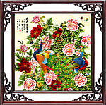 牡丹花