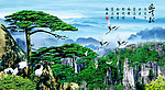 黄山迎客松