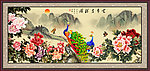 牡丹国画