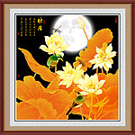 荷花 翠鸟