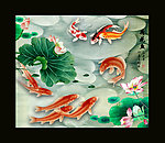国画荷花