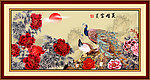 牡丹花