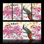富贵花开