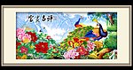 国色天香牡丹孔雀图