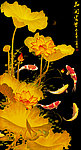 金色荷花
