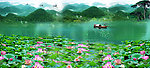 莲花