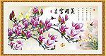 玉兰花