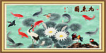 荷花 九鱼图