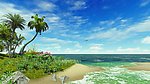 夏日椰岛视频