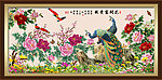牡丹 花开富贵