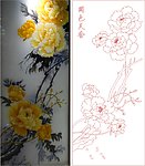 国色天香 牡丹 富贵