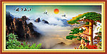 黄山迎客松