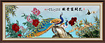 牡丹 花开富贵