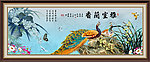 兰花 雅室兰香