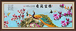 玉兰花 雅室兰香