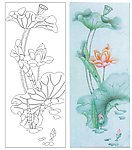 荷花