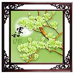 玉兰花
