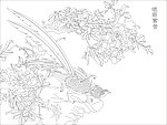 锦绣富贵 锦鸡 牡丹 （注路径未闭合）