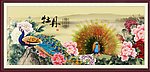富贵牡丹