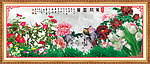 牡丹 花开富贵