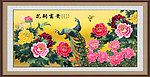 富贵牡丹