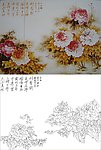 牡丹花