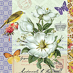 欧美风格花卉装饰画