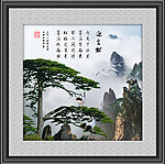 黄山迎客松