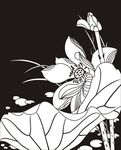荷花 莲花 黑白图 线勾图