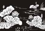 荷花 莲花 黑白图 线勾图