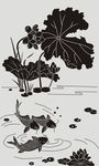 荷花鱼 莲花鱼