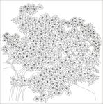 花丛（路径未闭合）