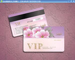 会员卡  VIP模板下载