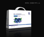 蓝莓包装