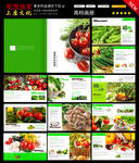 蔬菜画册
