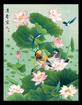 荷花