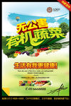 无公害 有机蔬菜