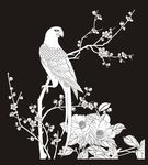 花鸟 鹦鹉 梅花