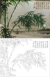 竹子  板桥竹