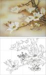玉兰花