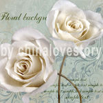 欧美风格花卉装饰画